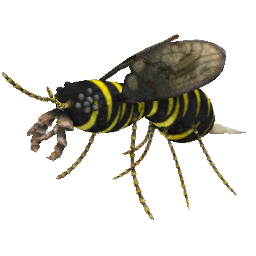 interstellar_wasp_x256.png